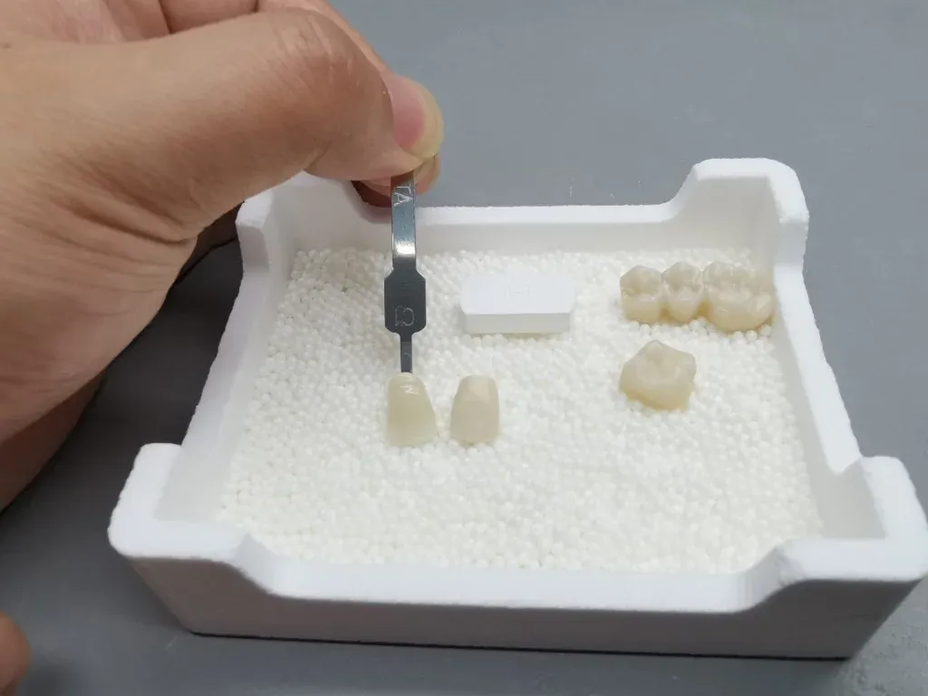 Oversized pre-sintered zirconia crown beside a fully sintered one, showing the shrinkage