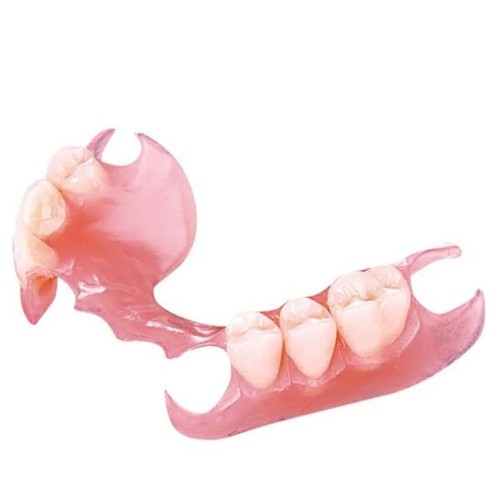 Valplast flexible partial denture
